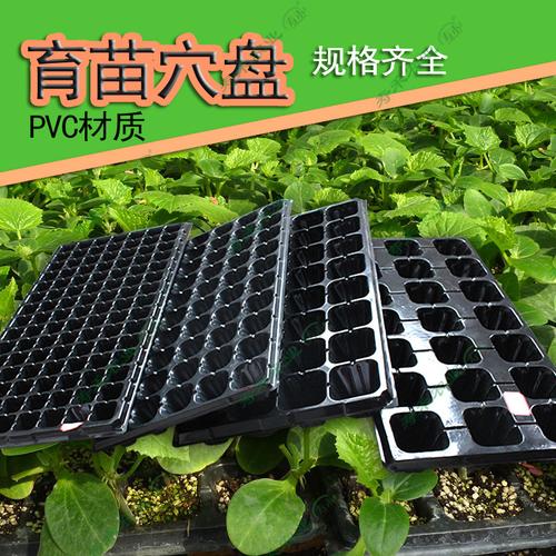 育苗盆一件起批穴盘盘箱种植苗木多肉加厚芽菜盘营养钵育秧苗工厂